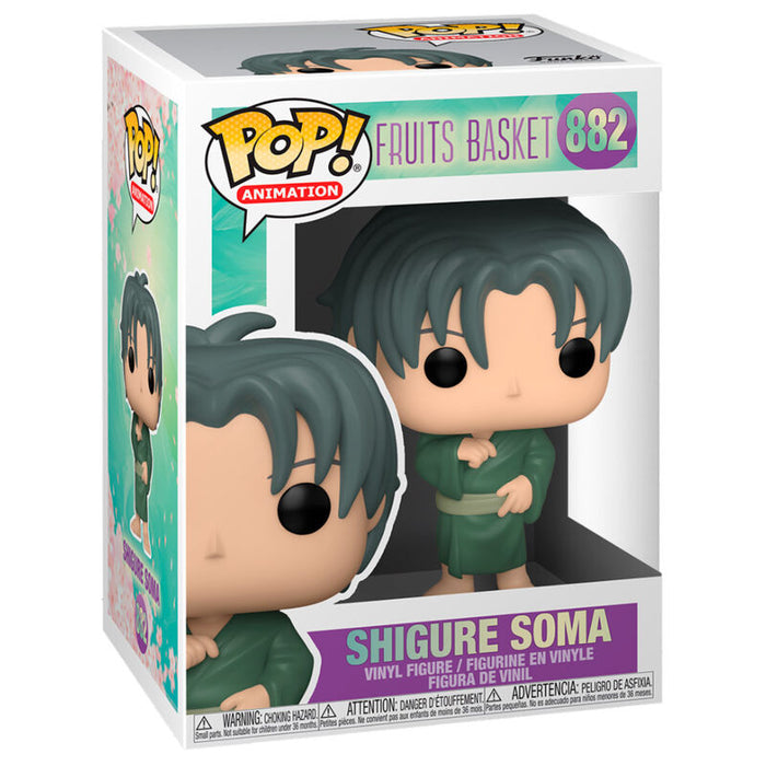 POP figure Fruits Basket Shigure Soma-0