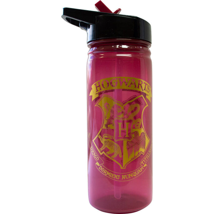 Harry Potter Hogwarts bottle 600ml-0