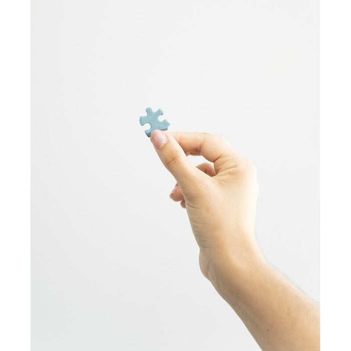 Harry Potter Ravenclaw potion puzzle 322pcs-2