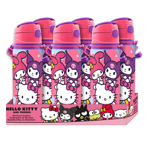 Hello Kitty and Friends aluminium bottle 600ml-0
