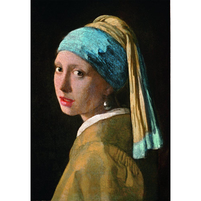 Museum Vermeer Girl with Pearl Earring puzzle 1000pcs-1