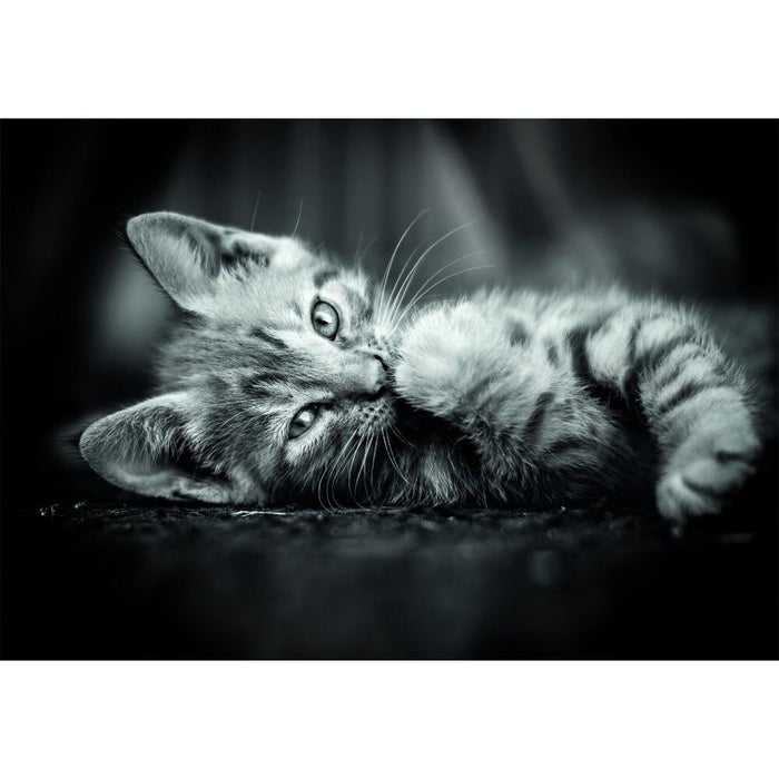 High Quality Kitty puzzle 1000pcs-1