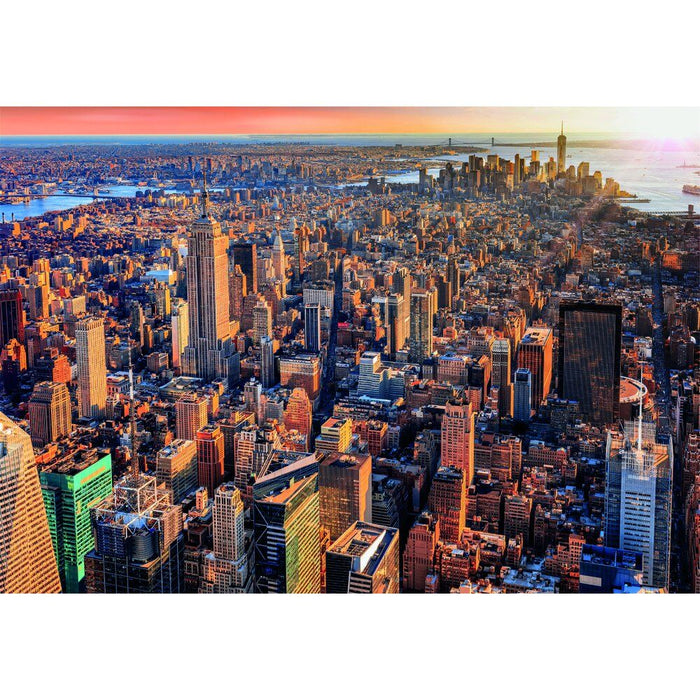 High Quality New York City puzzle 1000pcs-1