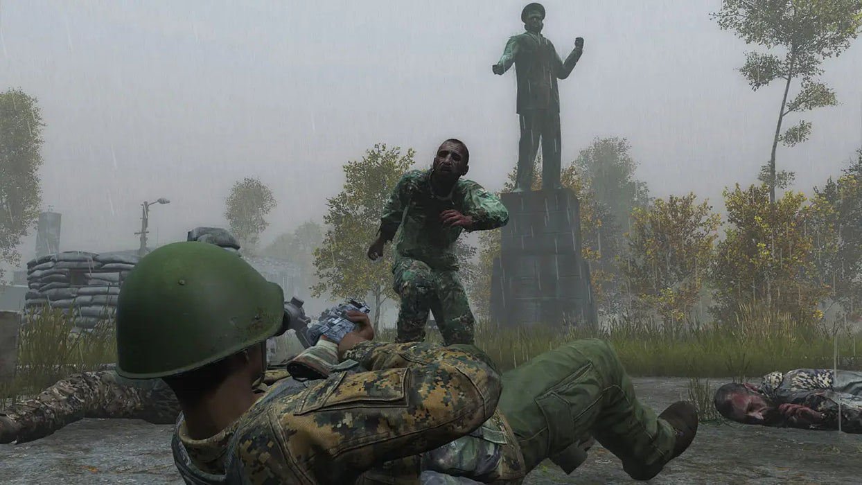 DayZ (USATO) - PS4 (RESTART)