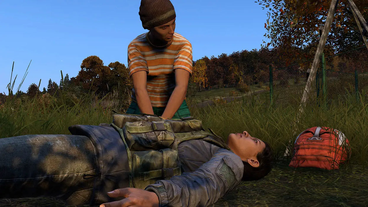 DayZ (USATO) - PS4 (RESTART)
