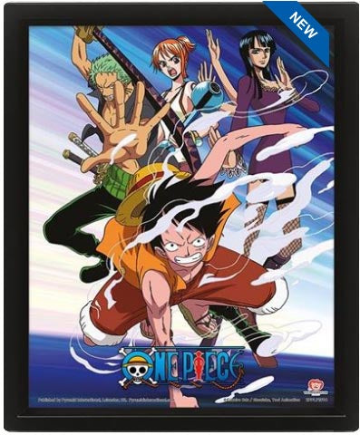 One Piece Piraten 3D-Gemälde