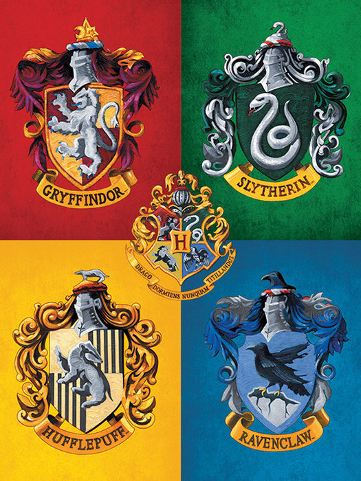 Harry Potter Deluxe Leinwand