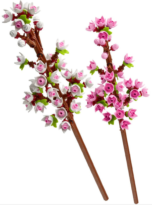 40725 Flowers Cherry Blossoms