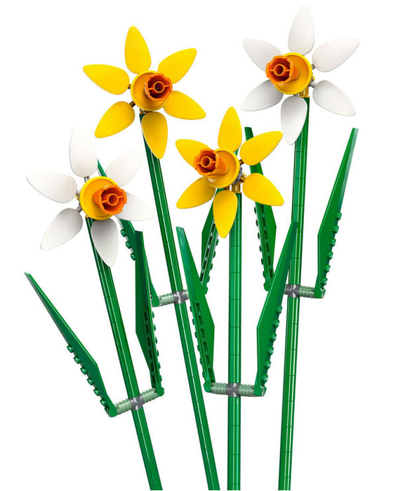 40747 Flowers Narcisi