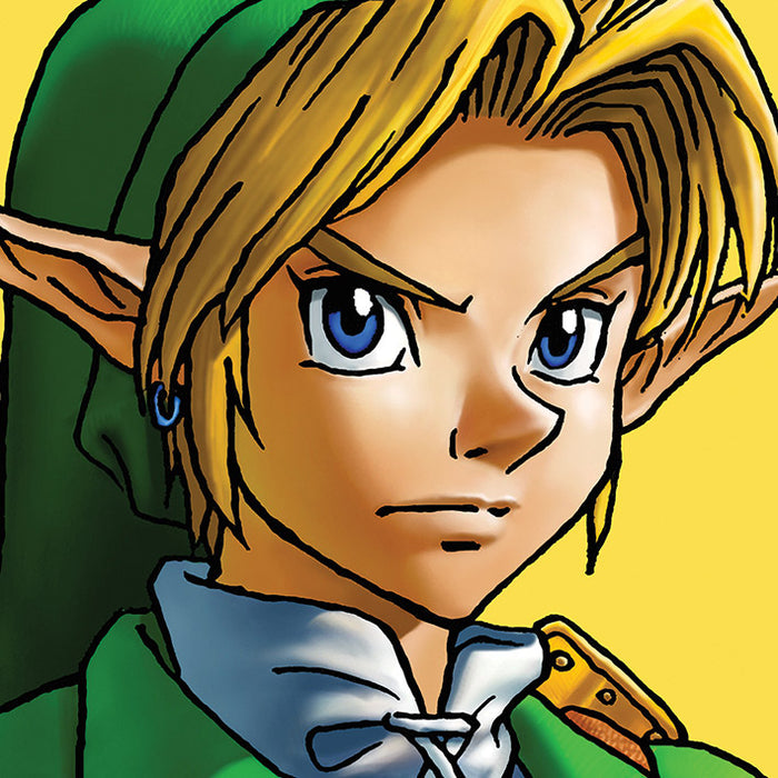 The Legend of Zelda Link Deluxe Leinwand