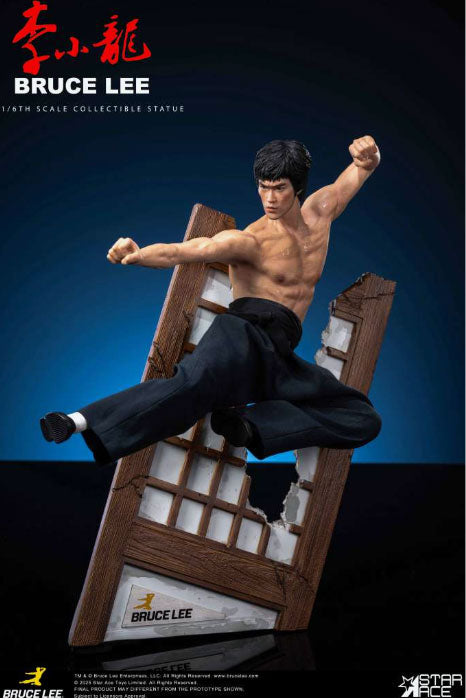 Bruce Lee Flying Kick