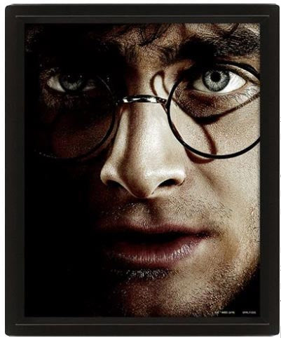 3D-Bild Harry Potter Voldemort