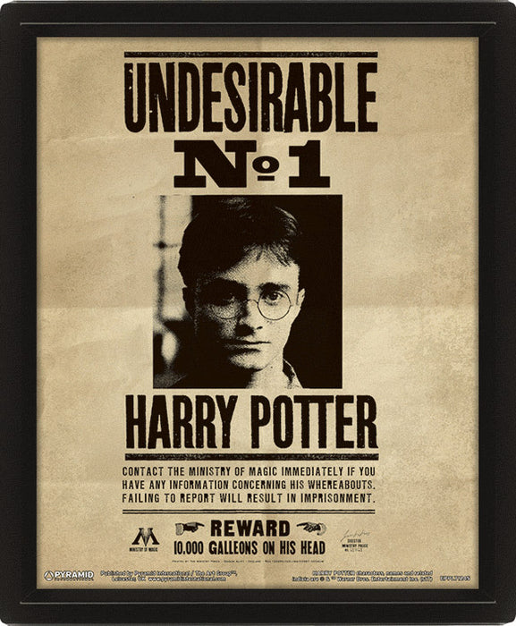 3D Harry Potter Wanted Painting