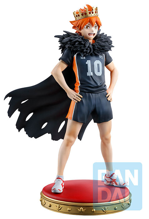 Haikyuu!! Ichibansho Shoyo Hinata