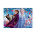 Ravensburger Puzzle_ Disney - Frozen II (2x12pcs) (5009)-1