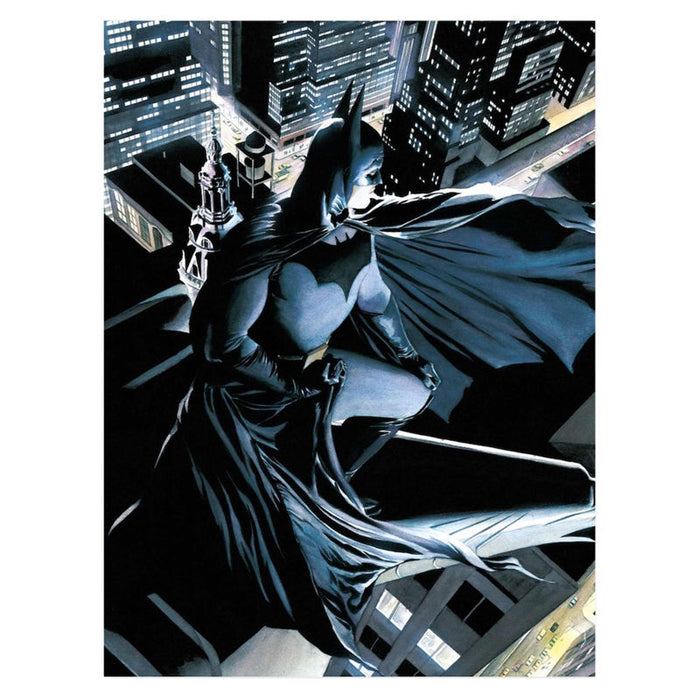 DC Comics Batman glass poster-0