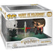 POP figure Harry Potter Harry vs Voldemort-1
