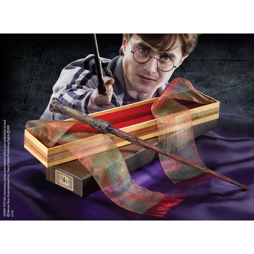 Harry Potter Harry-1