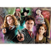 Harry Potter puzzle 104pcs-1