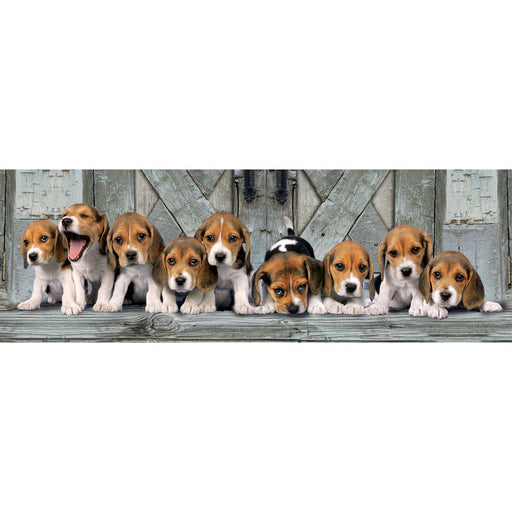 Beagles Panorama puzzle 1000pcs-1