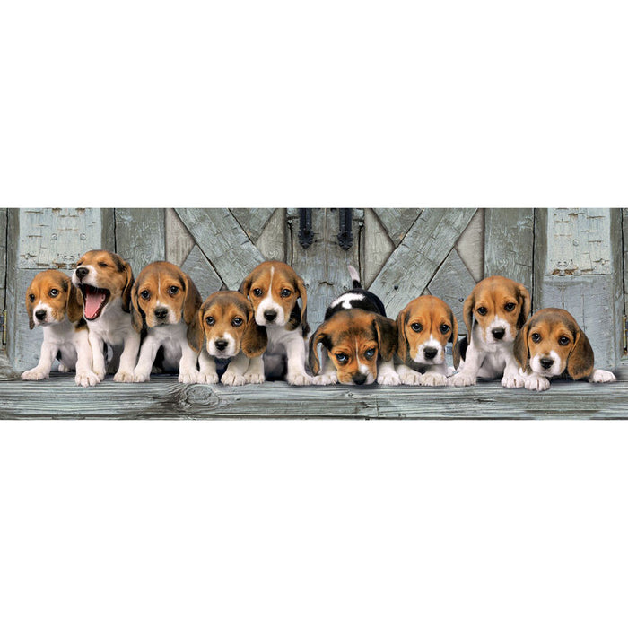 Beagles Panorama puzzle 1000pcs-1