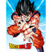 Dragon Ball Z Goku Kame glass poster-0