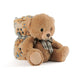 Teddy Bear Soft blanket + plush toy 22cm-1