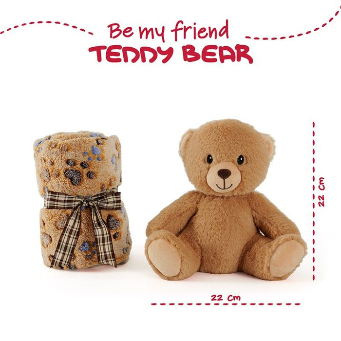 Teddy Bear Soft blanket + plush toy 22cm-2