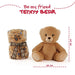 Teddy Bear Soft blanket + plush toy 22cm-2