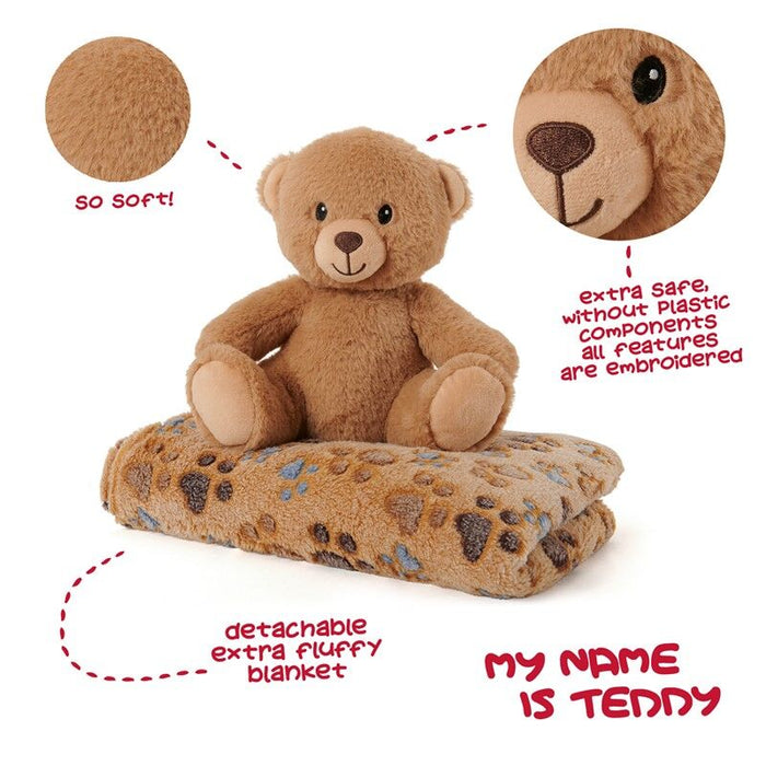 Teddy Bear Soft blanket + plush toy 22cm-3