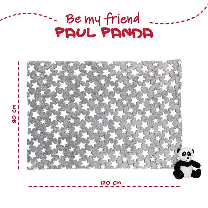 Panda bear Soft blanket + plush toy 22cm-3