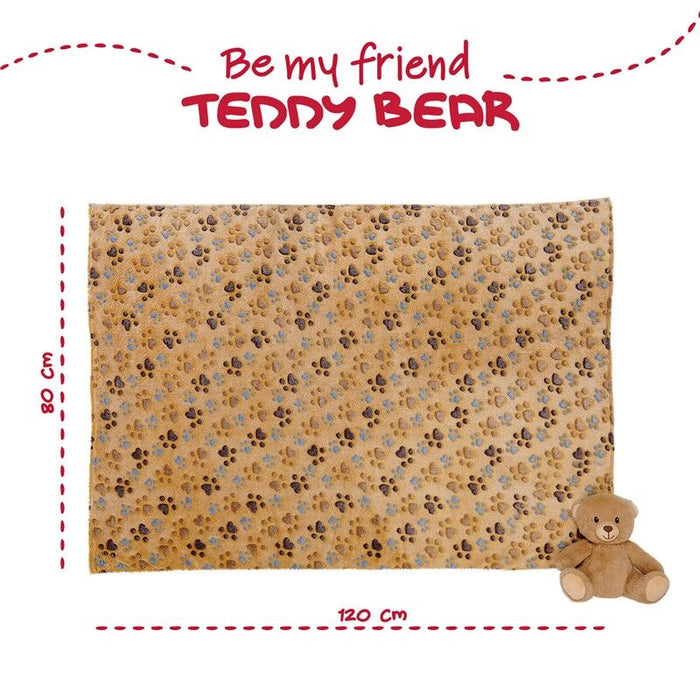 Teddy Bear Soft blanket + plush toy 22cm-4