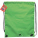 Nintendo Super Mario Bros Luigi gym bag 40cm-1