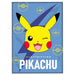 Pokemon Pikachu polar blanket-0
