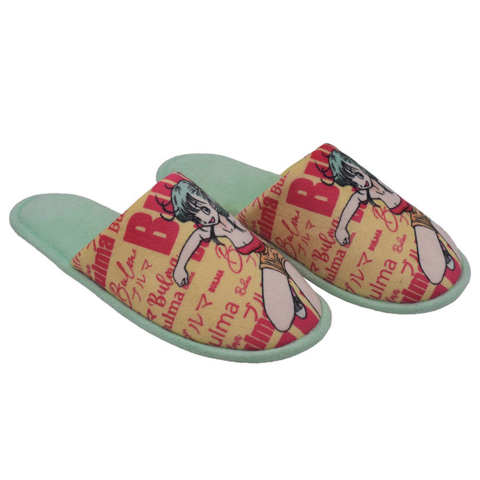 Dragon Ball Bulma slippers-0