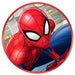 Marvel Spiderman Wireless portable speaker-1