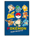 Pokemon polar blanket-0