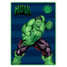 Marvel Avengers Hulk polar blanket-0