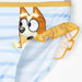 Bluey bikini-2