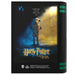 Harry Potter and the Chamber of Secrets collector box-3