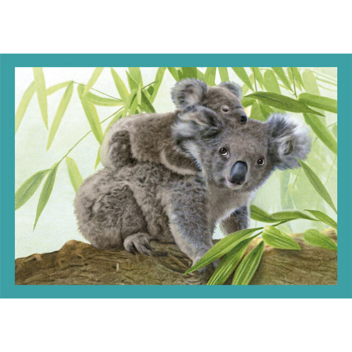 Noli Baby Cuddles puzzle 12-16-20-24pcs-1