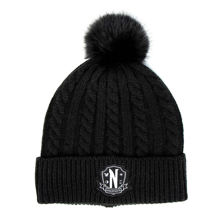 Wednesday hat and gloves set-2