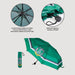 Harry Potter Slytherin manual folding umbrella-4