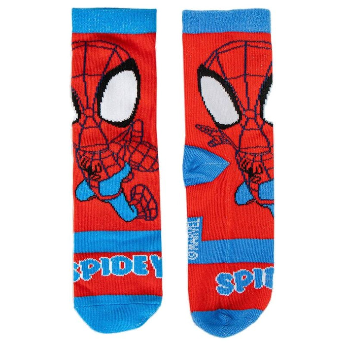 Marvel Spidey Money box 4 pairs of socks-5
