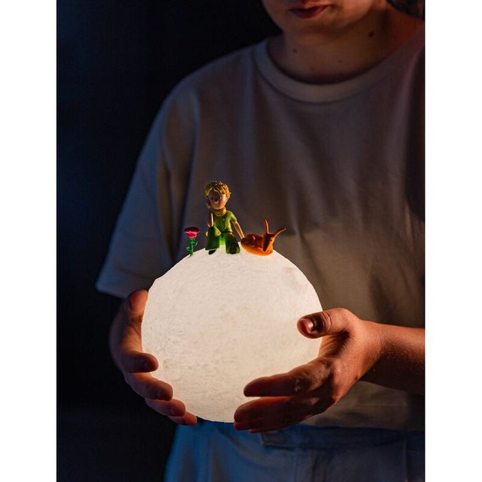 The Little Prince 3D lamp-4