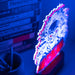 Stranger Things Bad To the Bone Led lamp-5