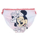 Disney Minnie swim panties-2