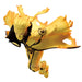 Naruto Shippuden Naruto Uzumaki Vibration Stars figure 17cm-2