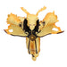 Naruto Shippuden Naruto Uzumaki Vibration Stars figure 17cm-3