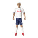 Tottenham Hotspur Richarlison Action figure 20cm-2